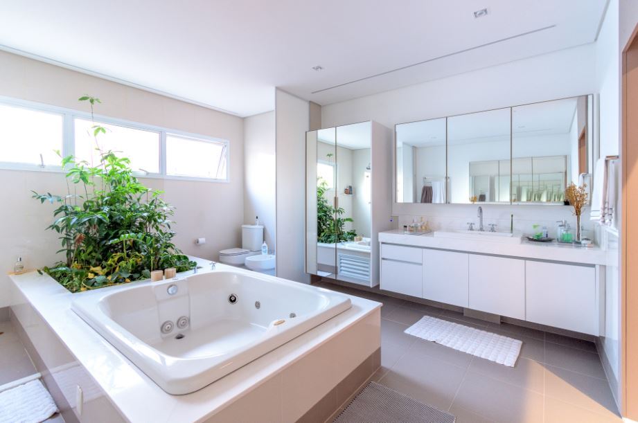 Transforme seu lar com plantas ideais para ambientes internos