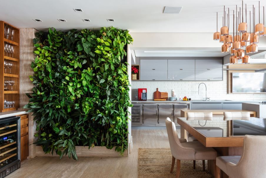 Transforme seu lar com plantas ideais para ambientes internos